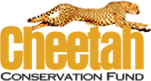CCF Logo
