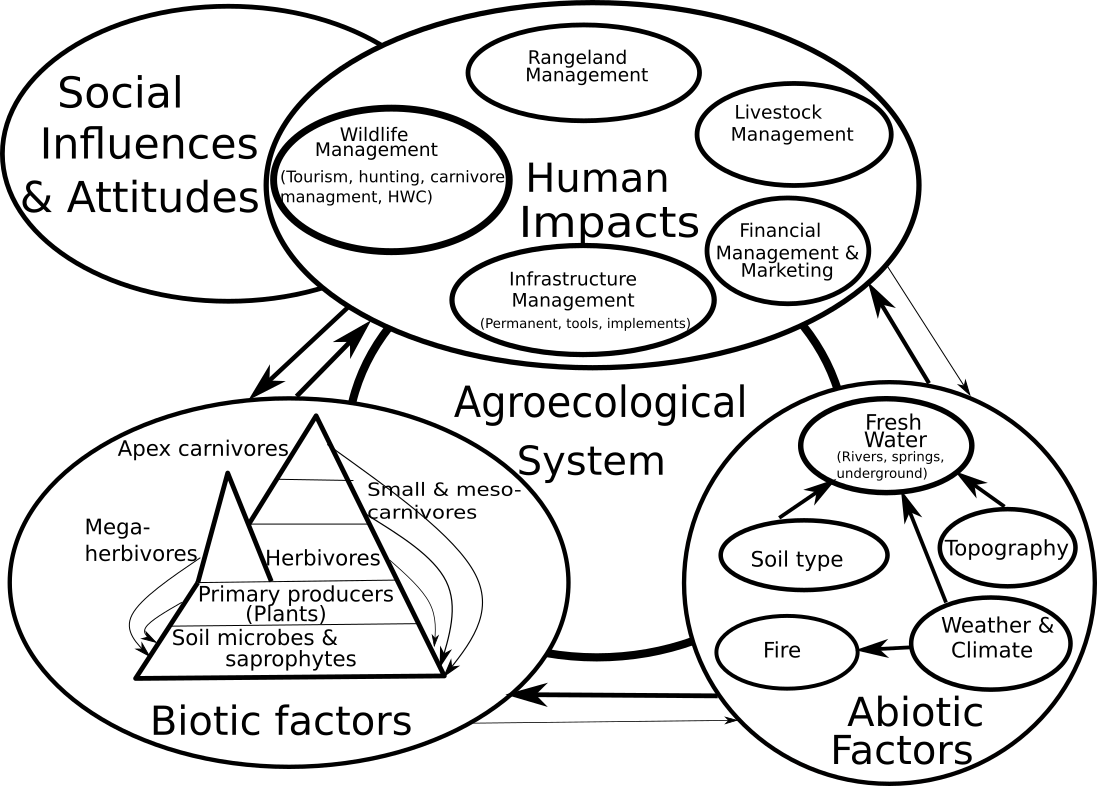 AgroEcologigal view of a farm